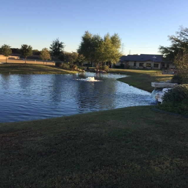 Algae control with fountain aerators/bubblers #288473 - Ask Extension