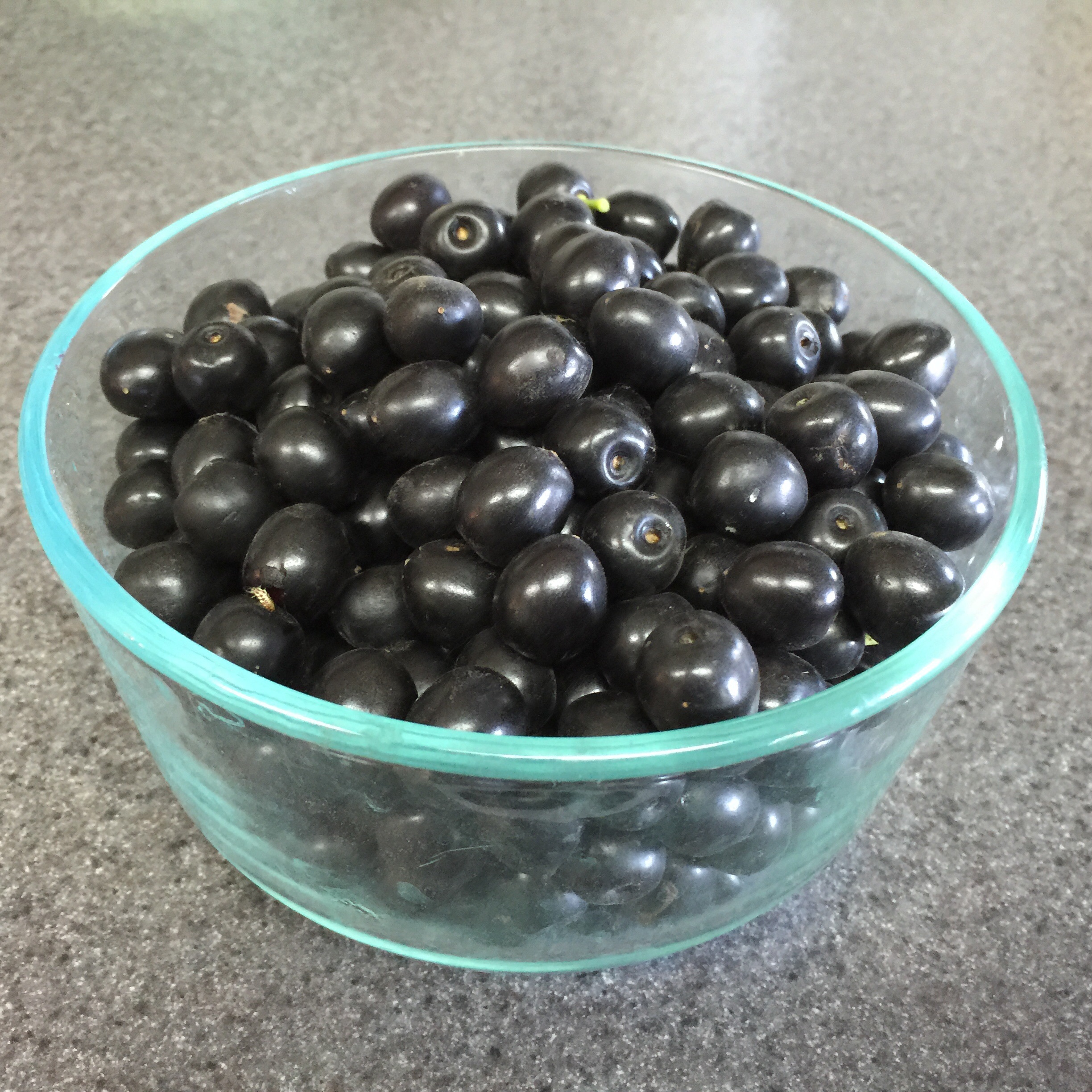 cherry laurel berries