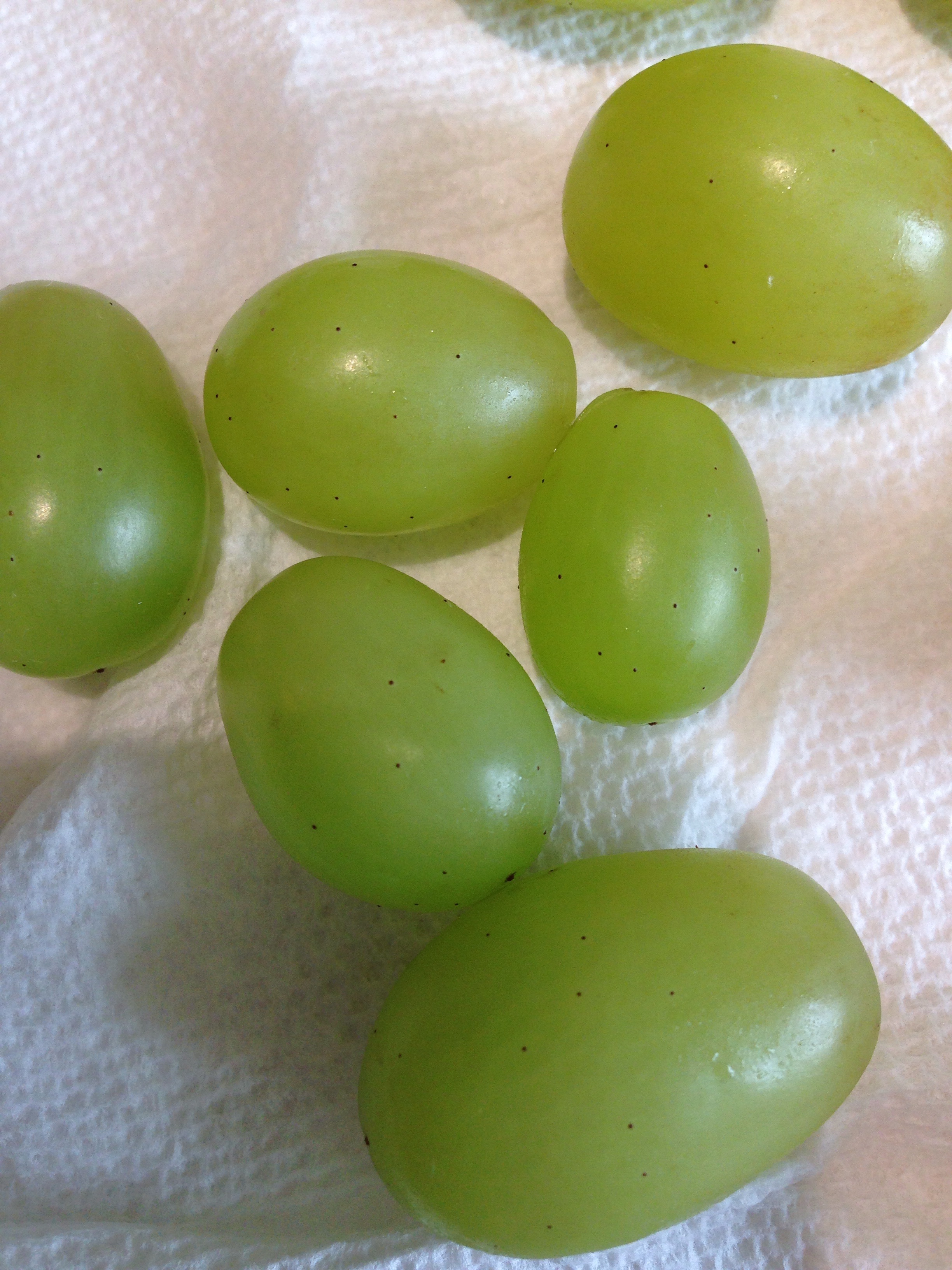 green-grapes-black-raised-spots-ask-extension