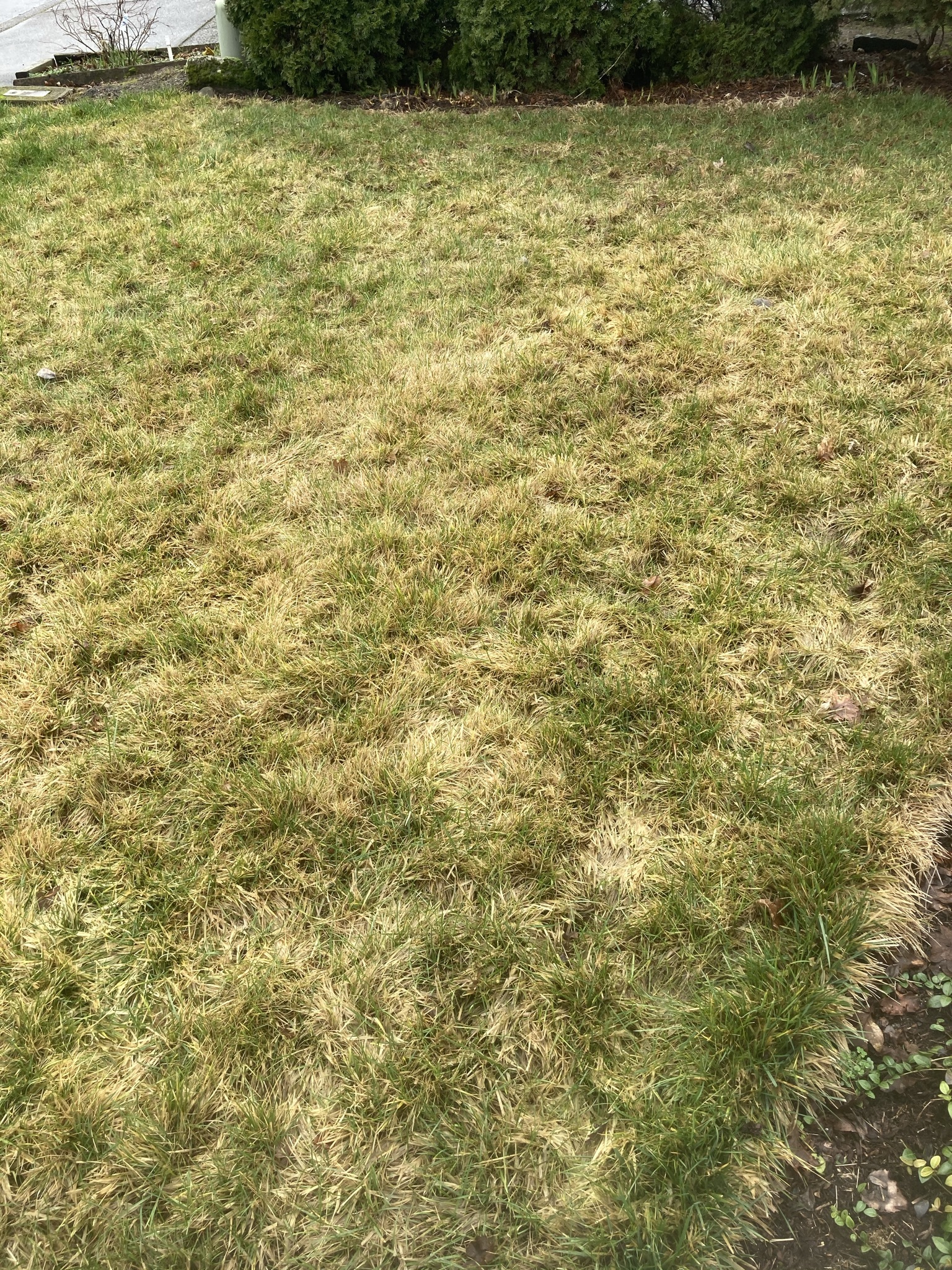 Lawn care - Ask Extension