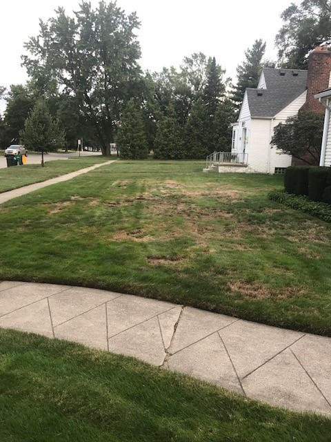 Lawn Fungus - Ask Extension