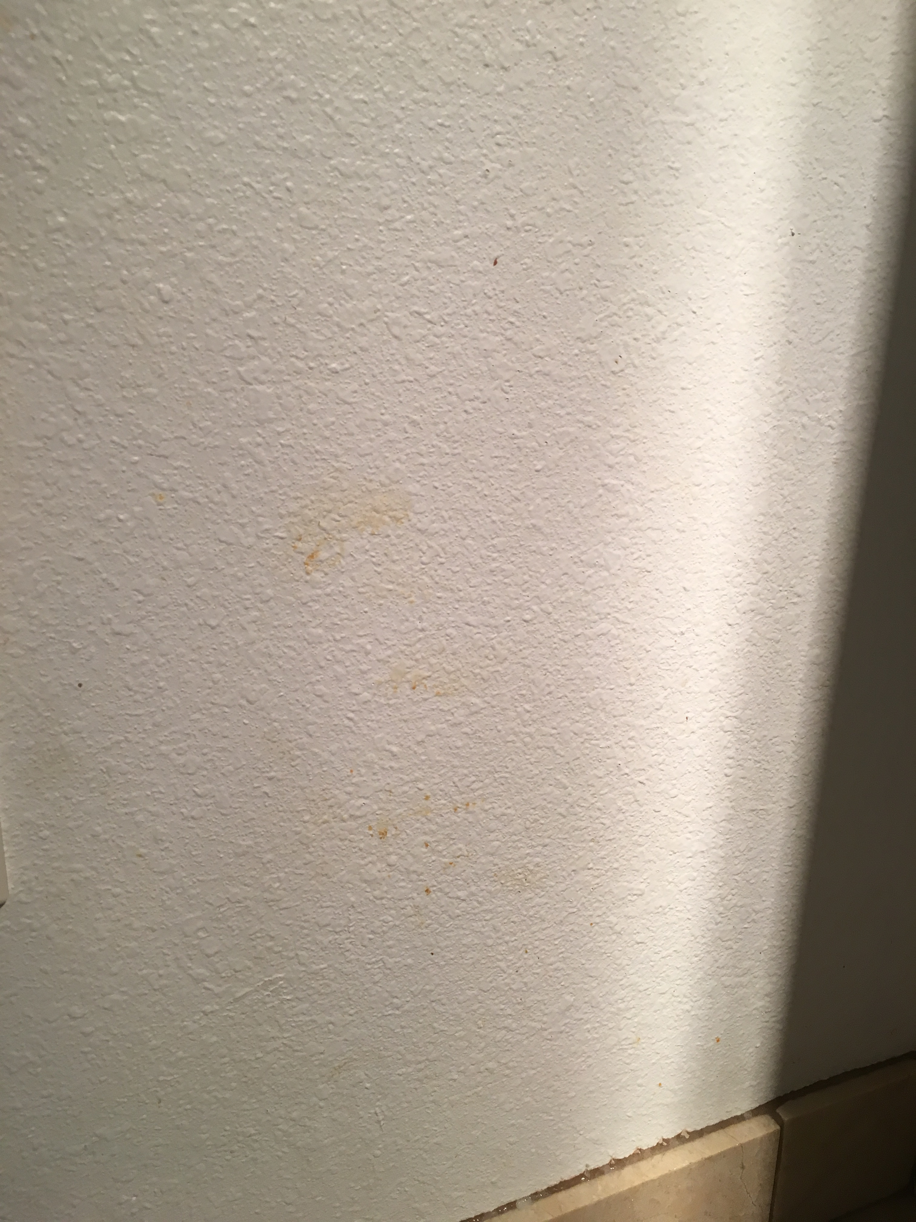 What Is the Orange Stuff on the Wall of a Bathroom Shower?