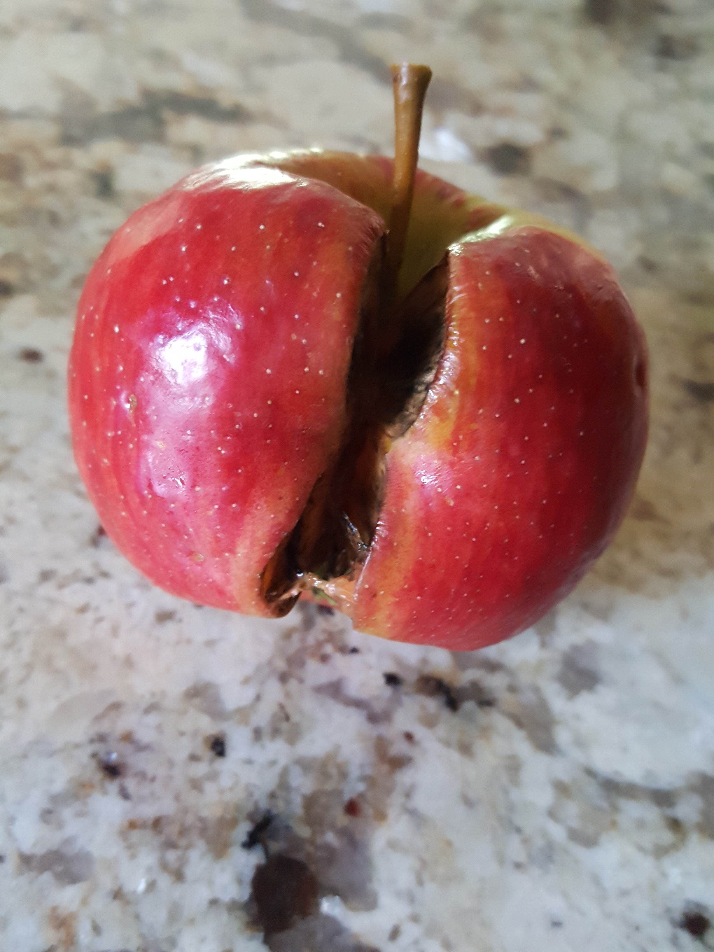 Honeycrisp Apple, Knowledgebase