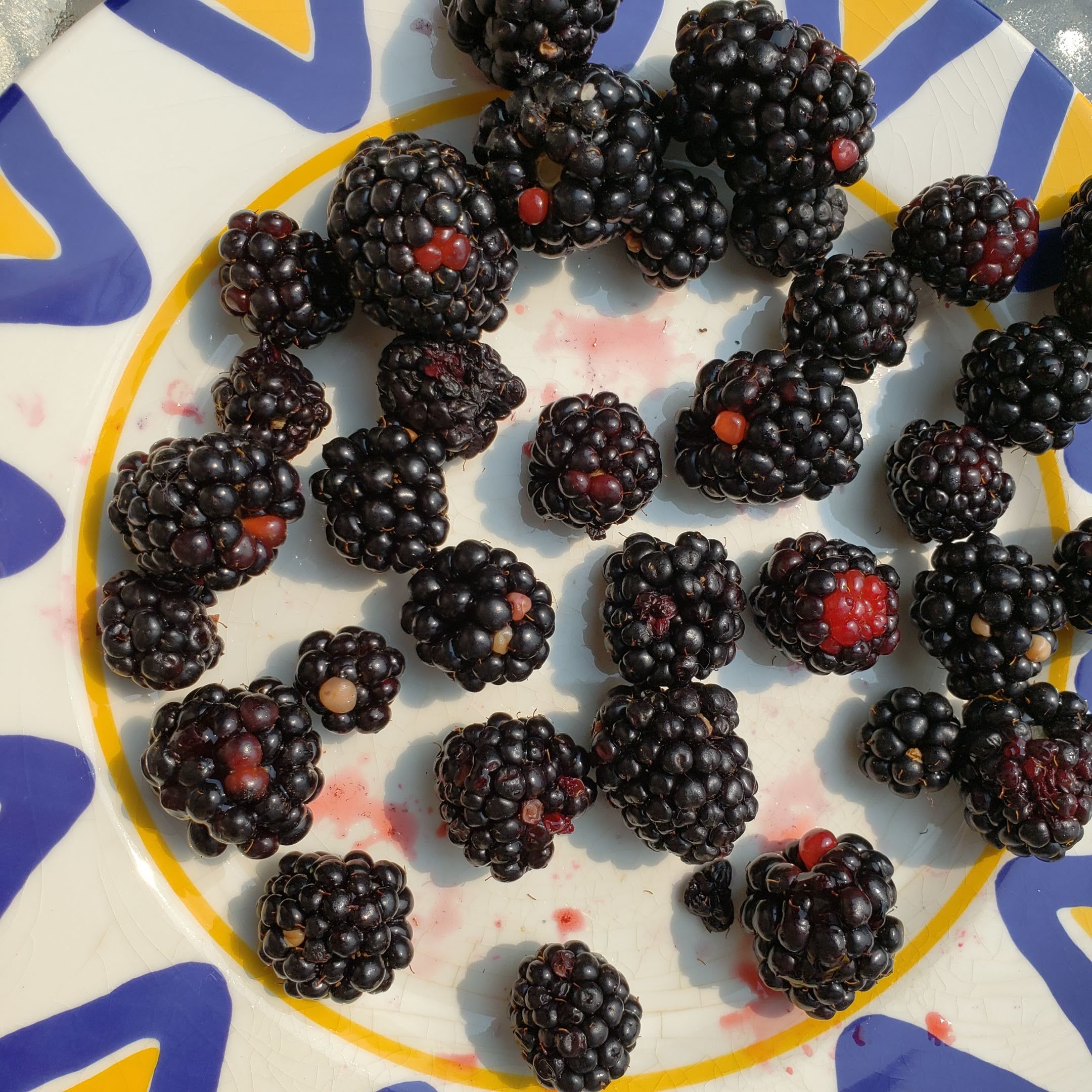 White Drupelet Disorder: What Causes White Spots On Raspberries and  Blackberries