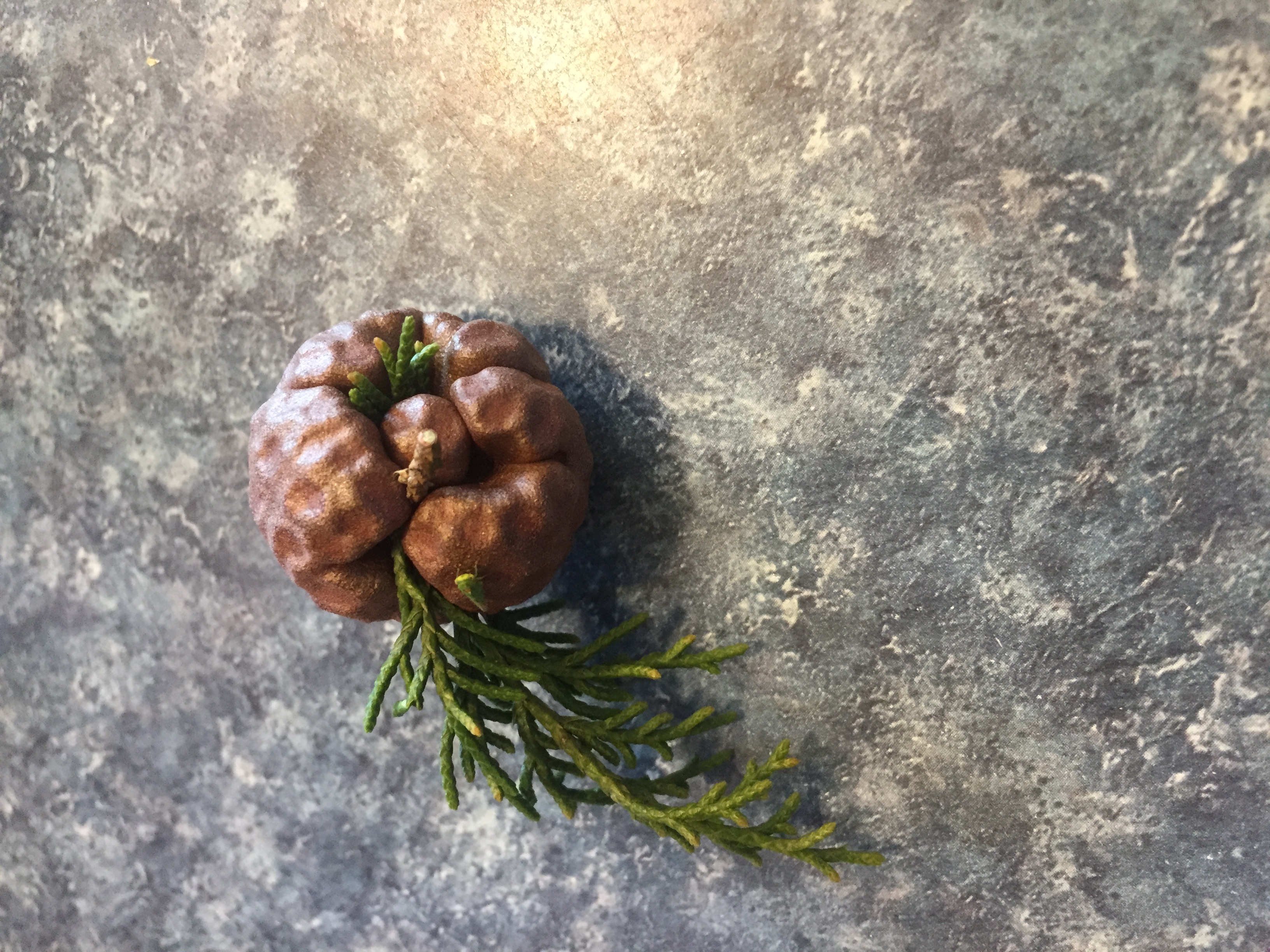 Cedar juniper apple fungus Ask Extension