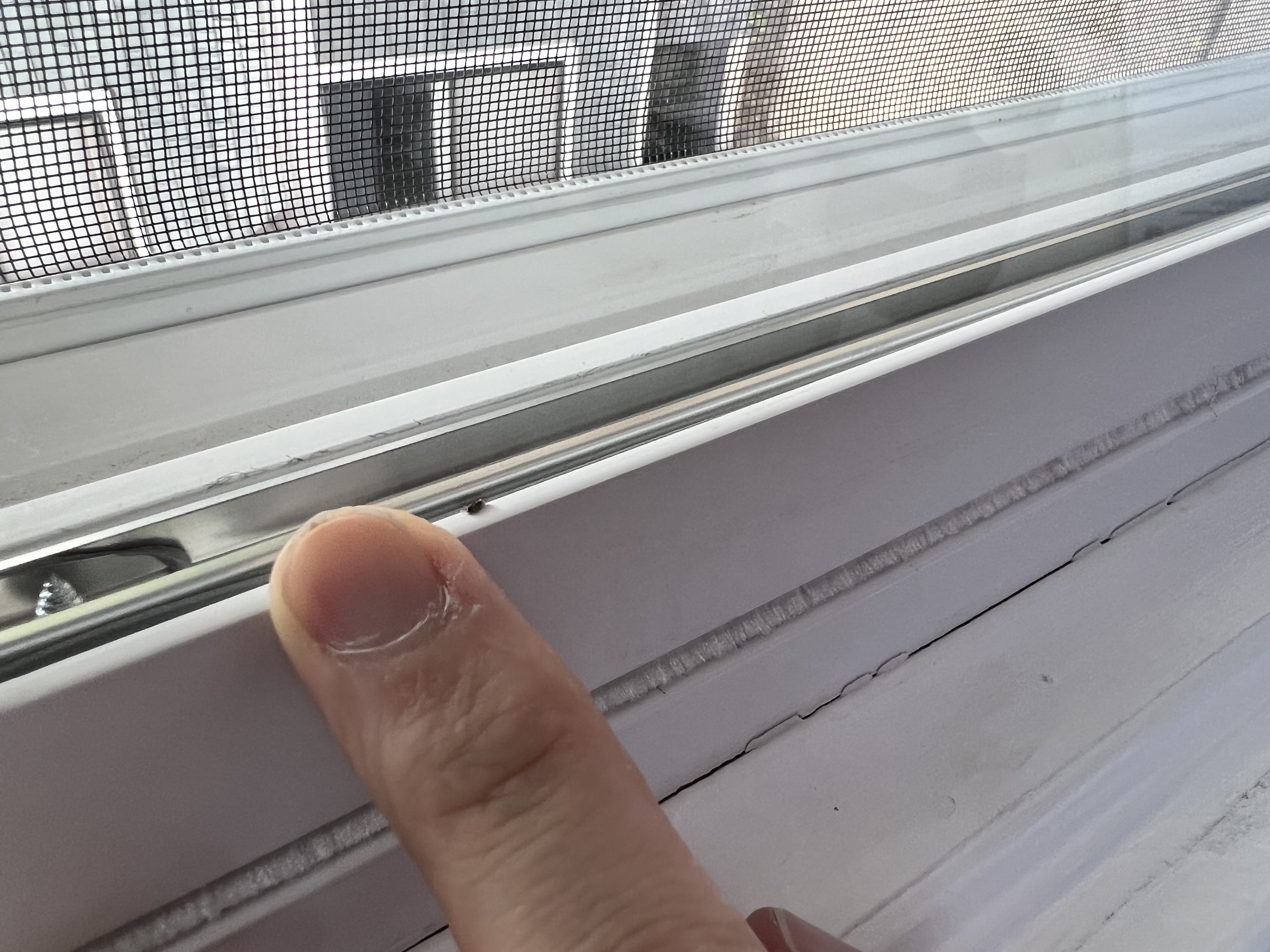 Tiny Bugs Coming through window screens Ask Extension