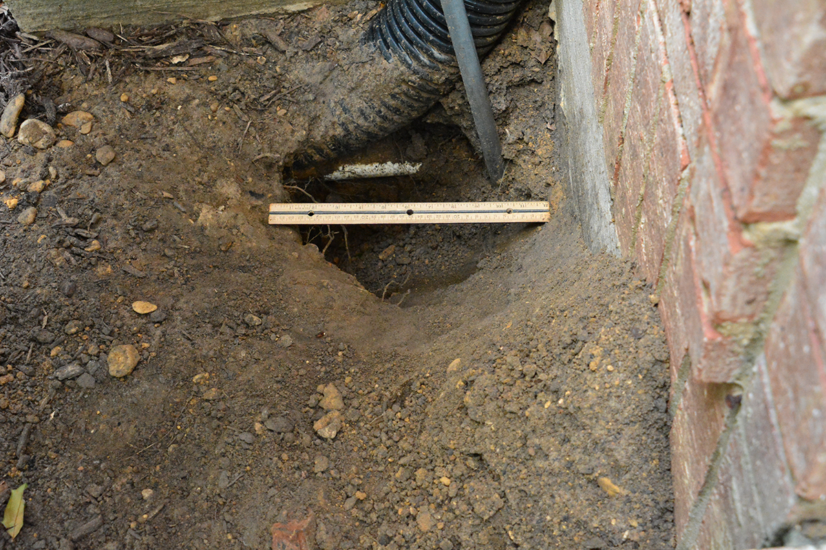 What animal might be digging this large hole next to our home's foundation?  - Ask Extension
